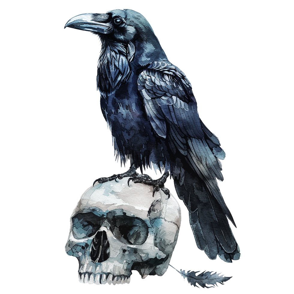 A Majestic Raven Perched Upon a Weathered Skull Watercolor Painting png