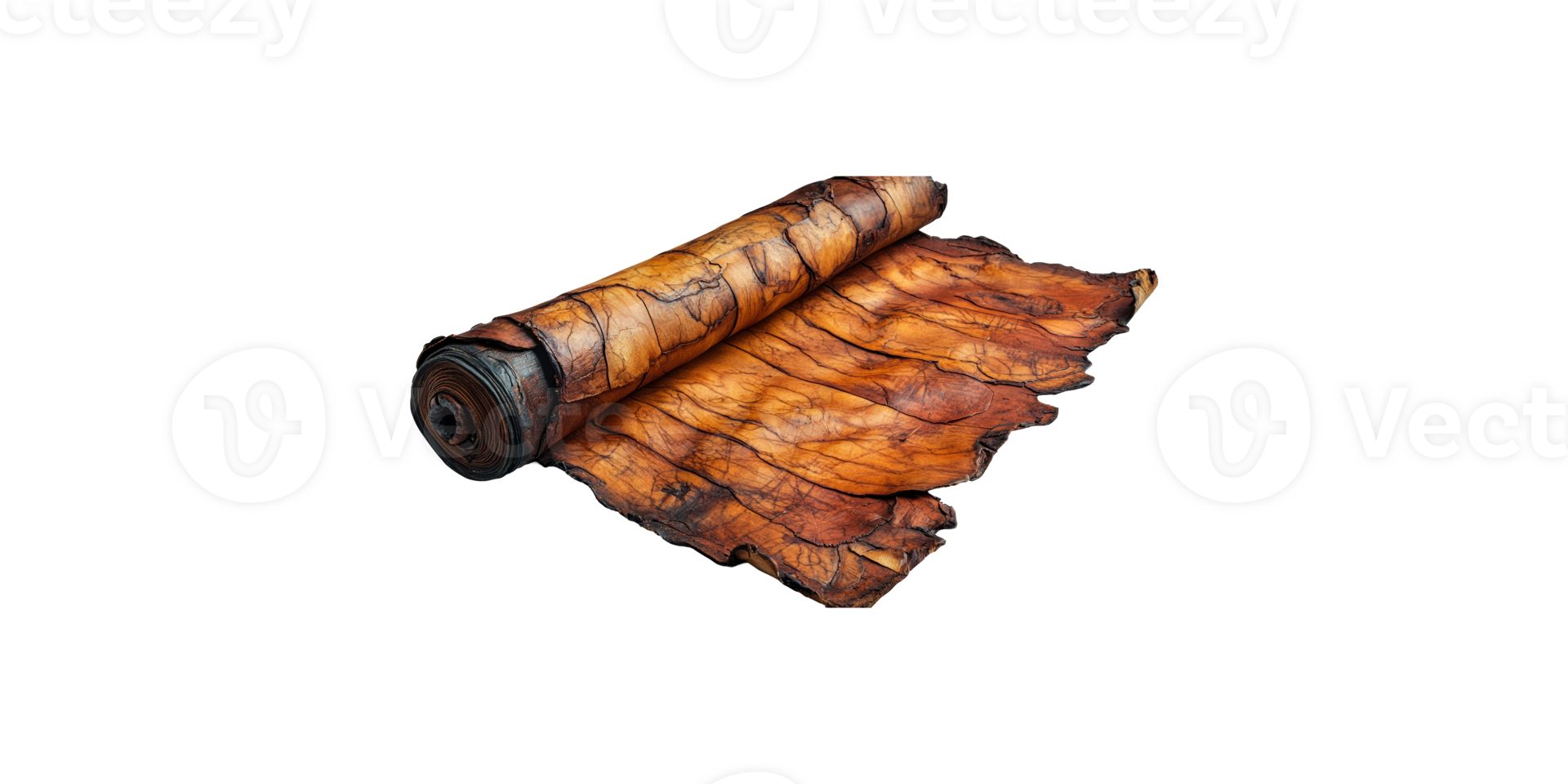 Rolled brown leather fabric with textured surface isolated on transparent background png