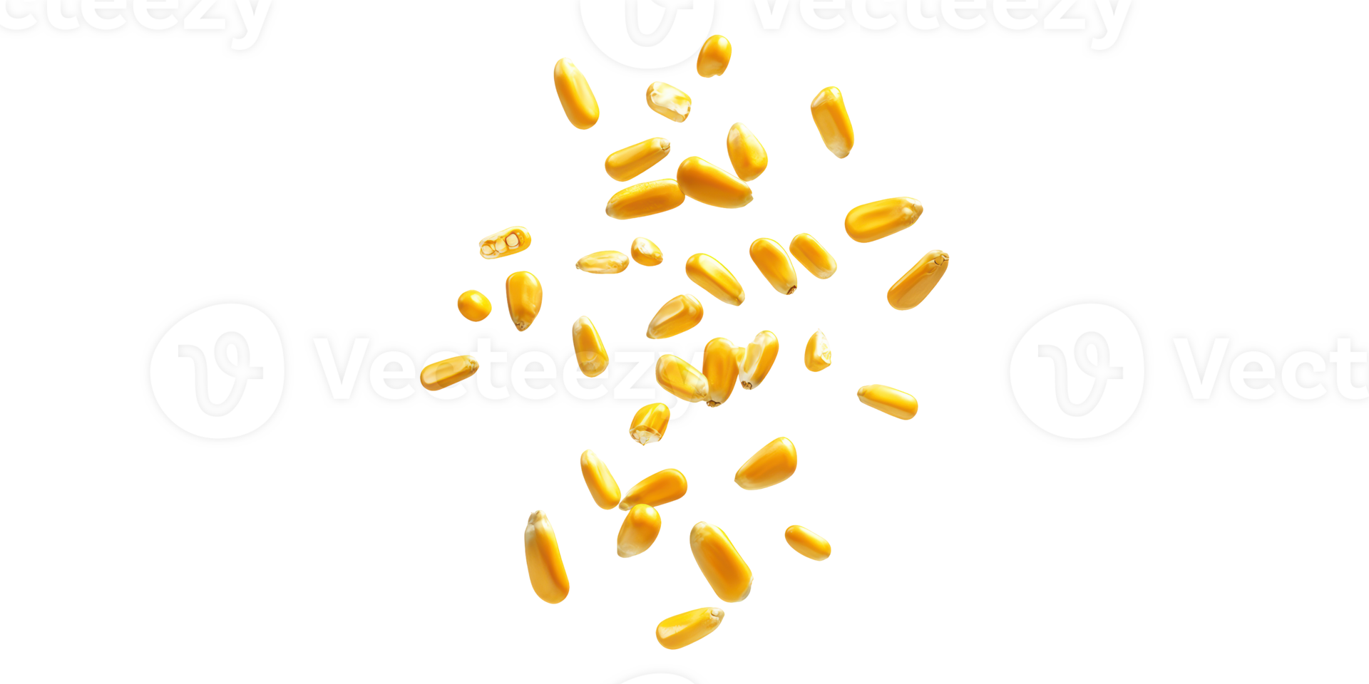 Yellow corn kernels scattered isolated on transparent background png