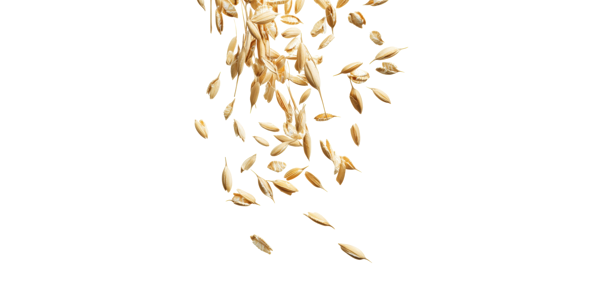 Falling oat grains isolated on transparent background png