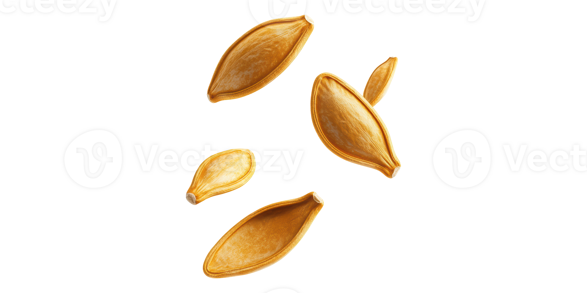 Floating pumpkin seeds isolated on transparent background png