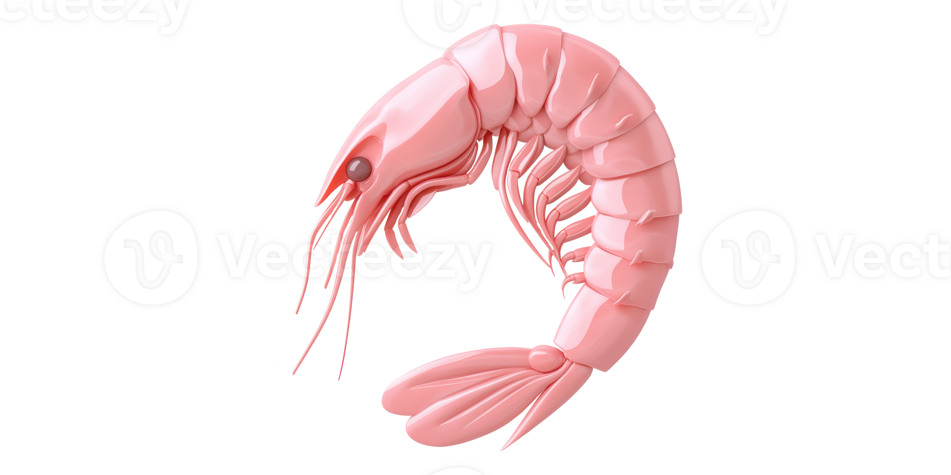 Pink shrimp illustration isolated on transparent background png