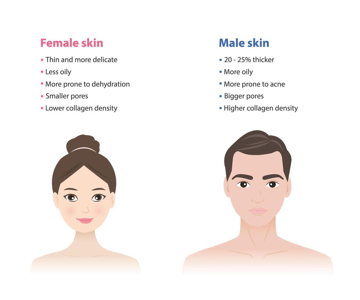 The difference between female and male skin illustration isolated on white background. Men's and women's skin differ in several ways, thickness, oiliness, pores, collagen content, hair growth. vector