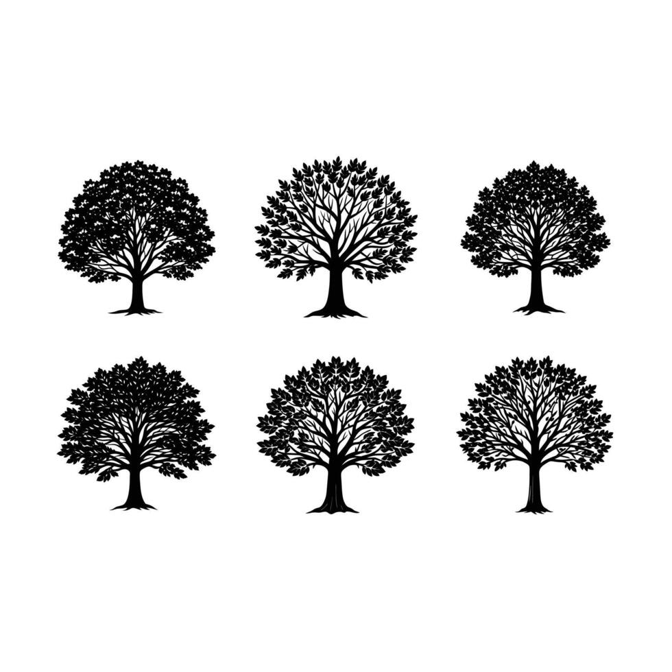 Beech and Linocut Silhouette Design vector