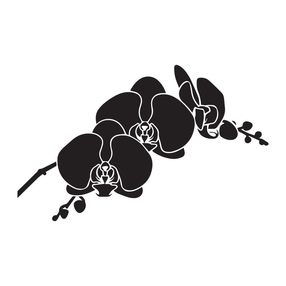 Elegant Black Silhouette of Orchids vector