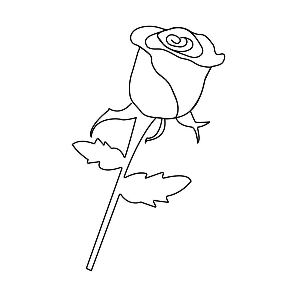 With a single, continuous stroke, rose continuous one-line art encapsulates the essence of beauty, love, and elegance in one smooth motion. vector