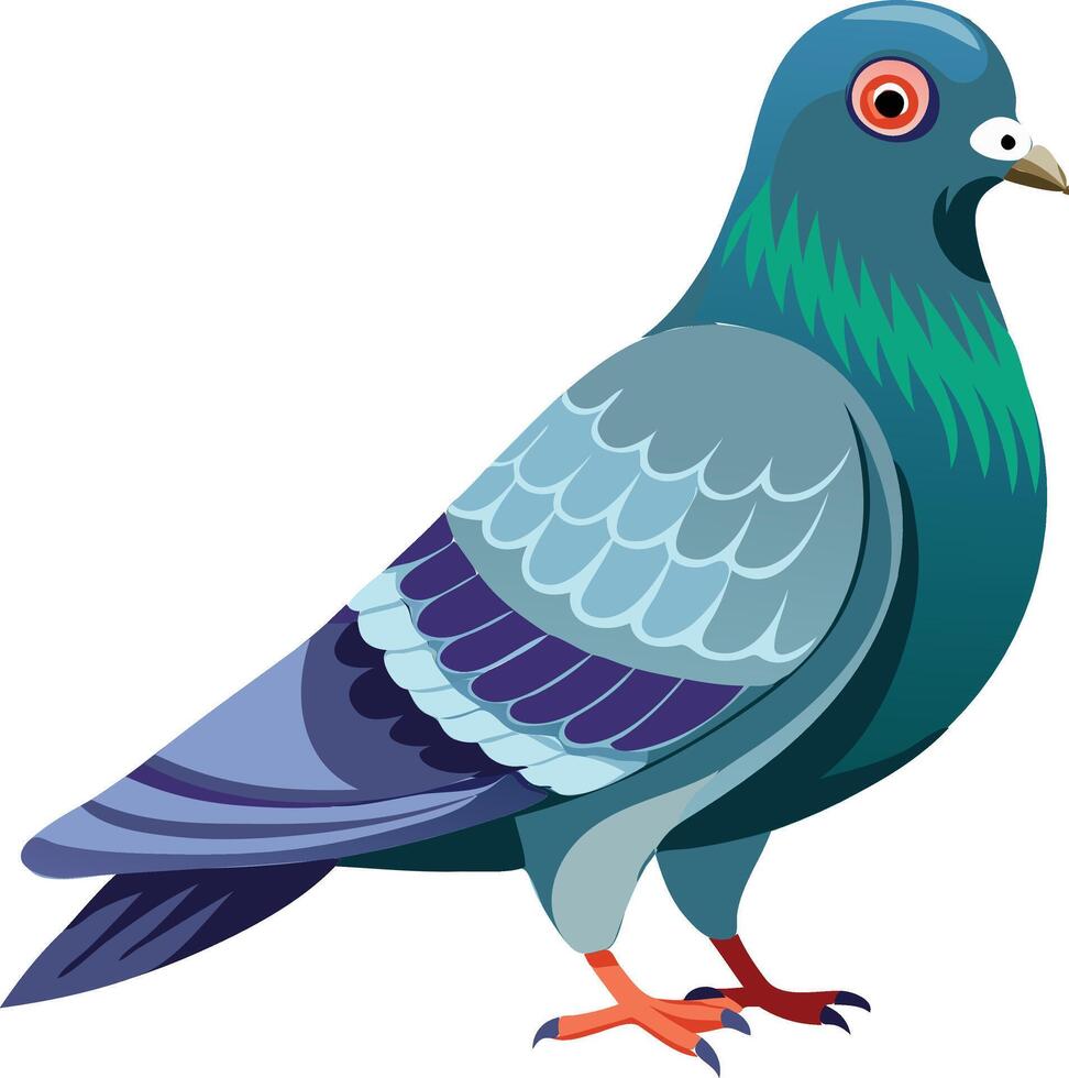 Vibrant Pigeon Available on EPS File vector