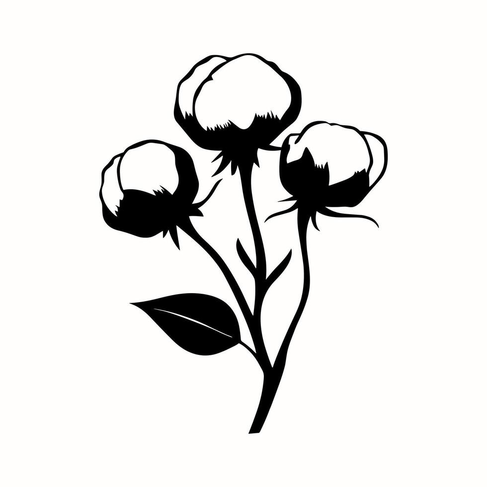 Outline cotton branch in engraving style isolated on white background. Silhouette cotton bud on stem with leaves vector