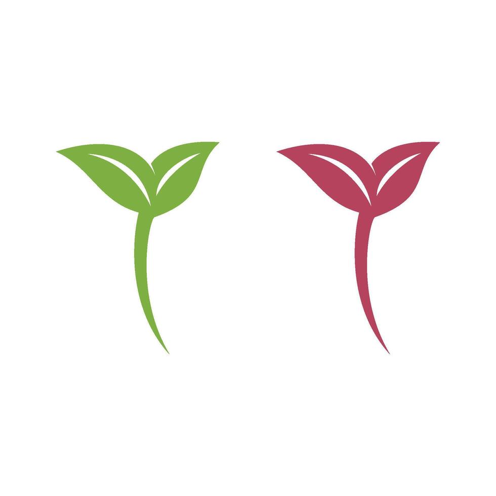 Set Leaf Growth Logo Template Illustration Design. EPS 10. vector
