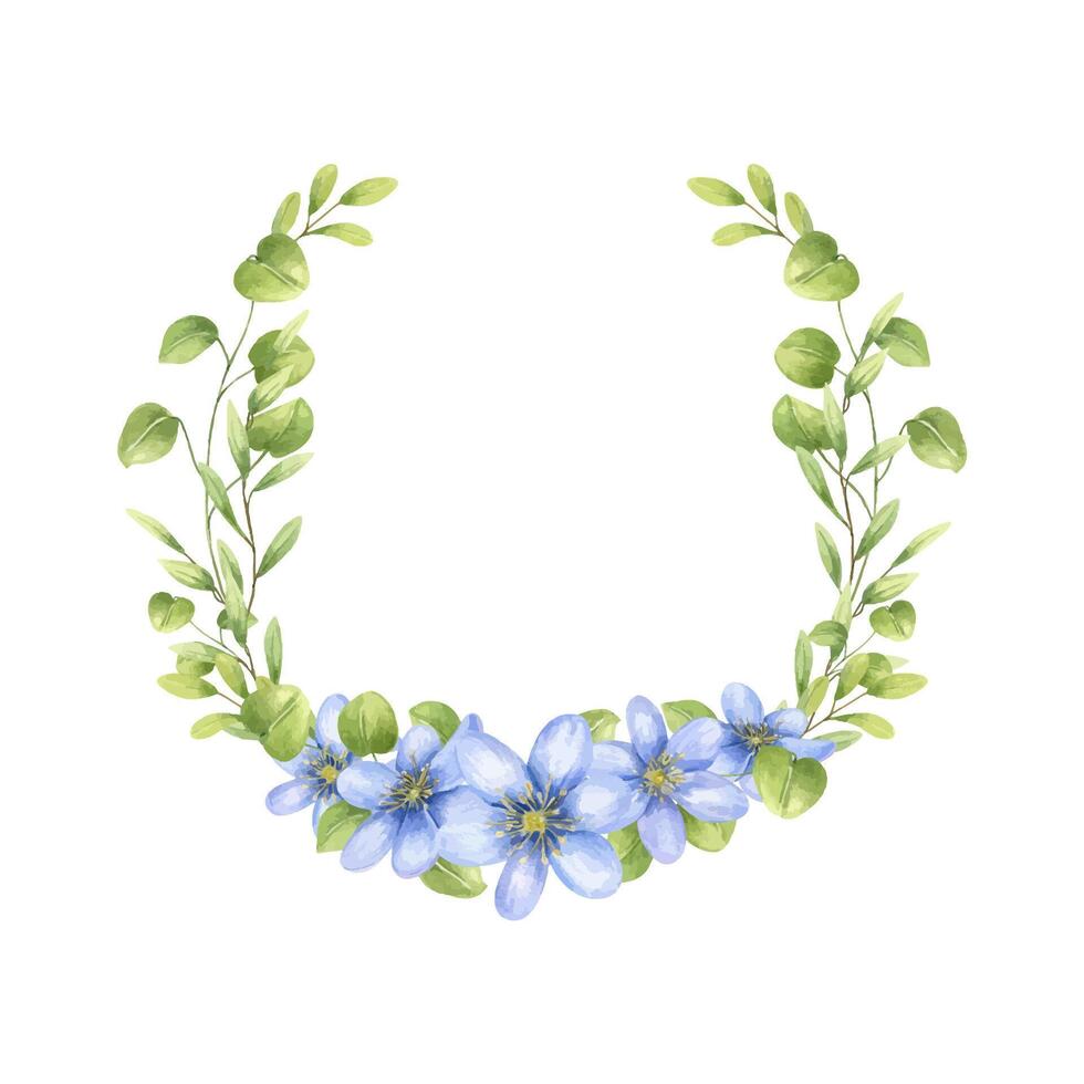 Watercolor blue blooming primroses with green leaves frame isolated background. Forest spring lilac liverwort, hepatica flowers bouquet in realistic style. Empty space for text. For Valentine day. vector