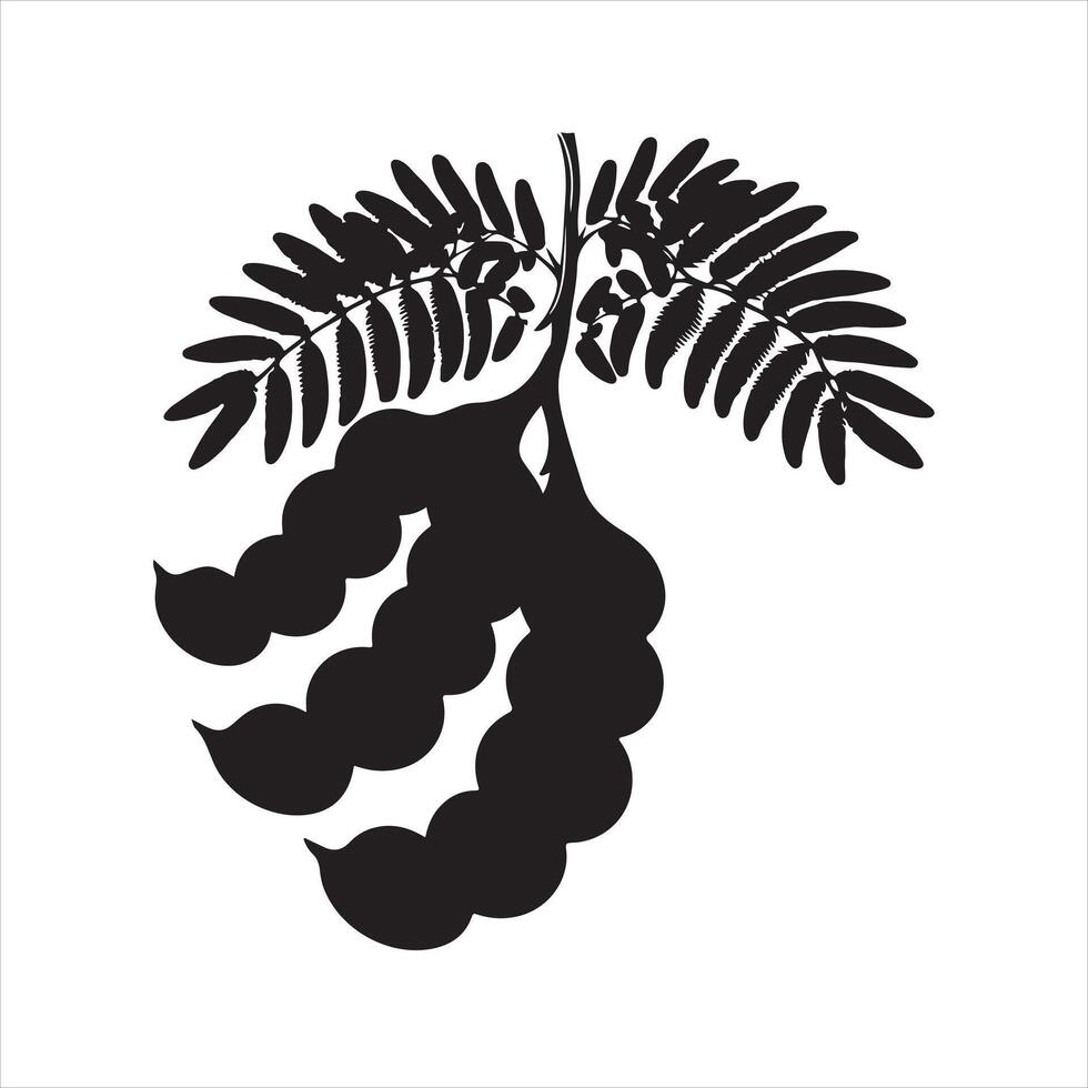 Tamarind black silhouette white background vector