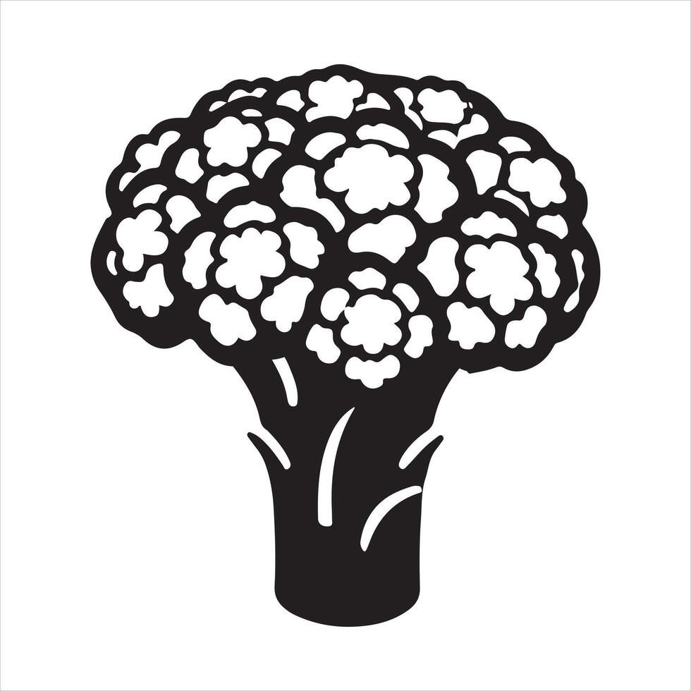Minimalist Cauliflower silhouette on white background vector