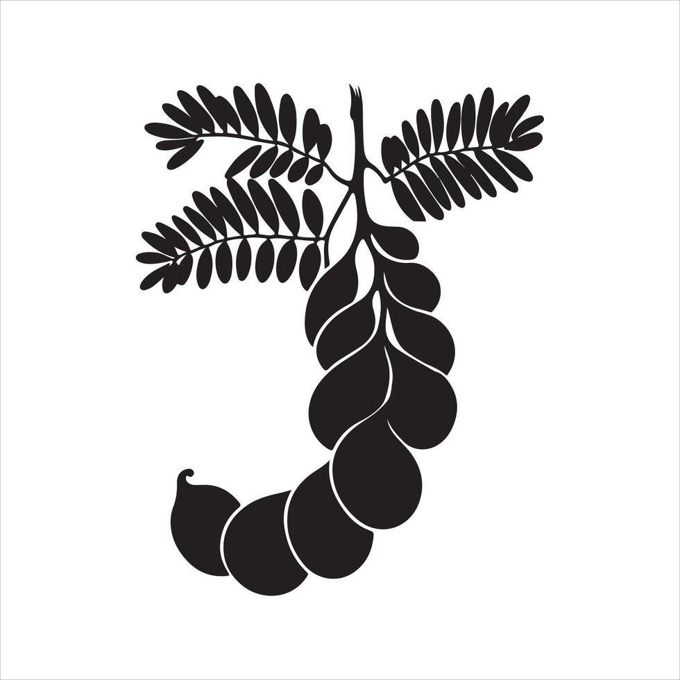 Tamarind black silhouette on white background vector