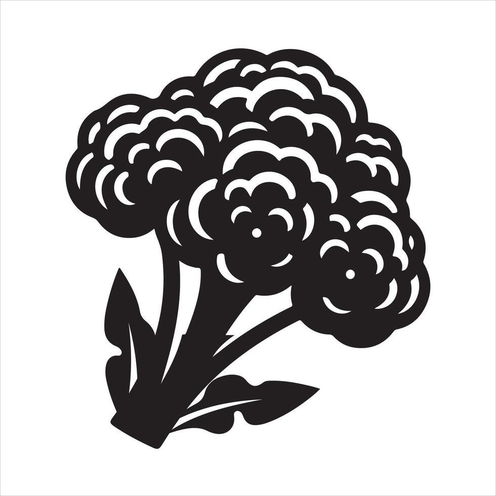 Minimalist Cauliflower silhouette white background vector