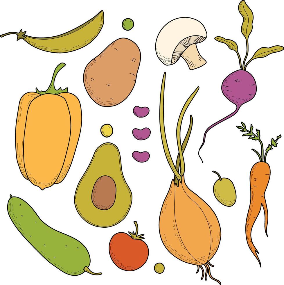 Set of colored vegetables, menu design, vegetarians, nutritionists. Onions, eggplants, tomatoes, peas, beans, carrots, radishes, peppers, potatoes, champignons, broccoli, beans. Hand drawing vector
