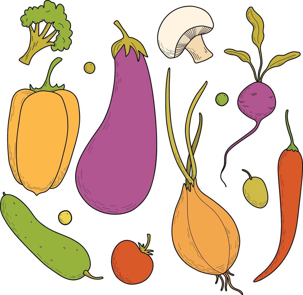 Set of colored vegetables, menu design, vegetarians, nutritionists. Onions, eggplants, tomatoes, peas, beans, carrots, radishes, peppers, champignons, broccoli, beans. Hand drawing vector