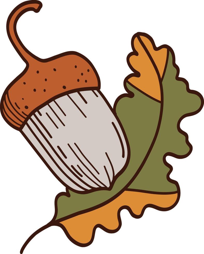 Oak leaf logo design . vector