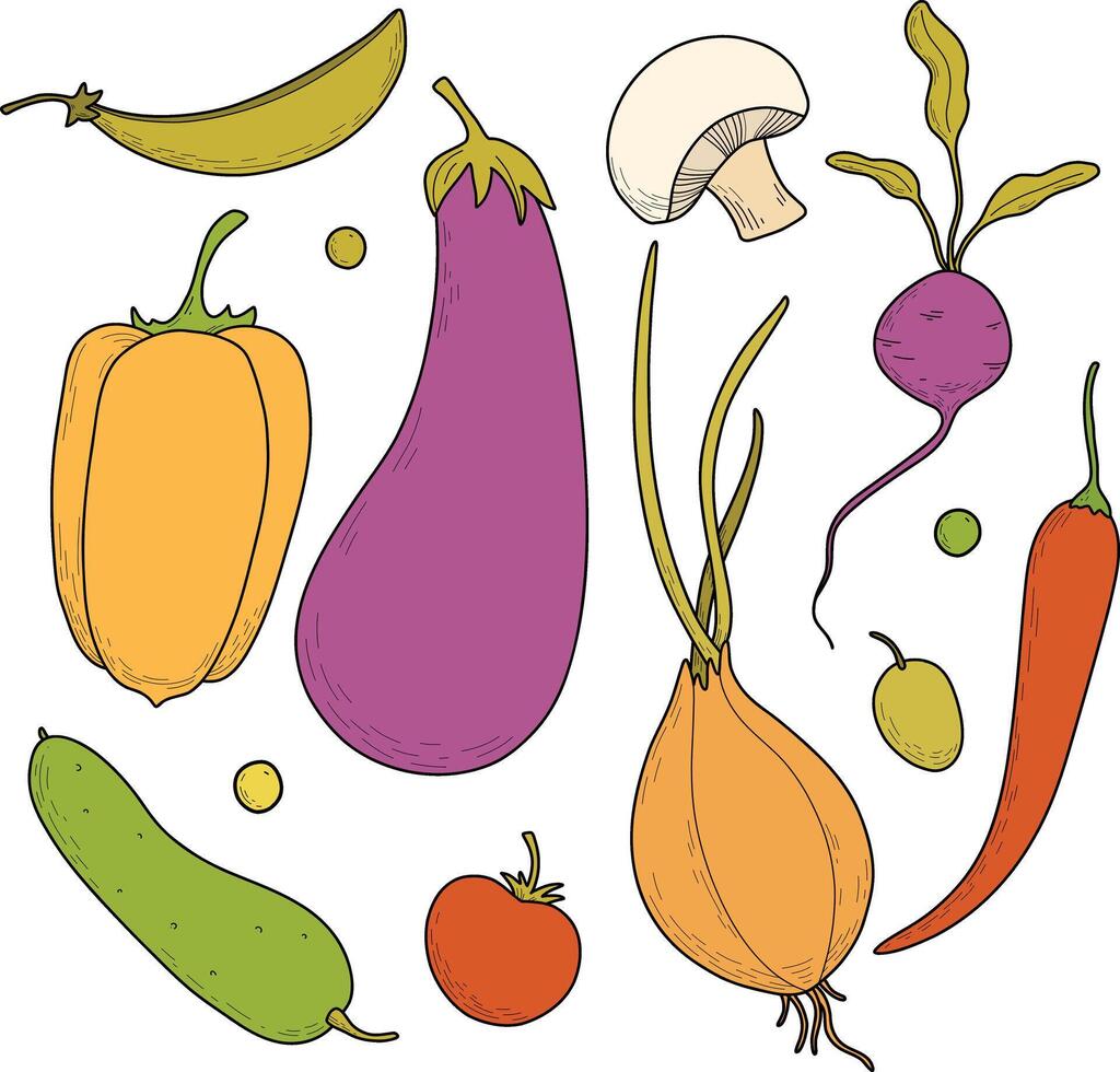 Set of vegetables, color illustrations hand drawn. Eggplant, pepper, onion, champignon, peas, beets, cucumber. vector