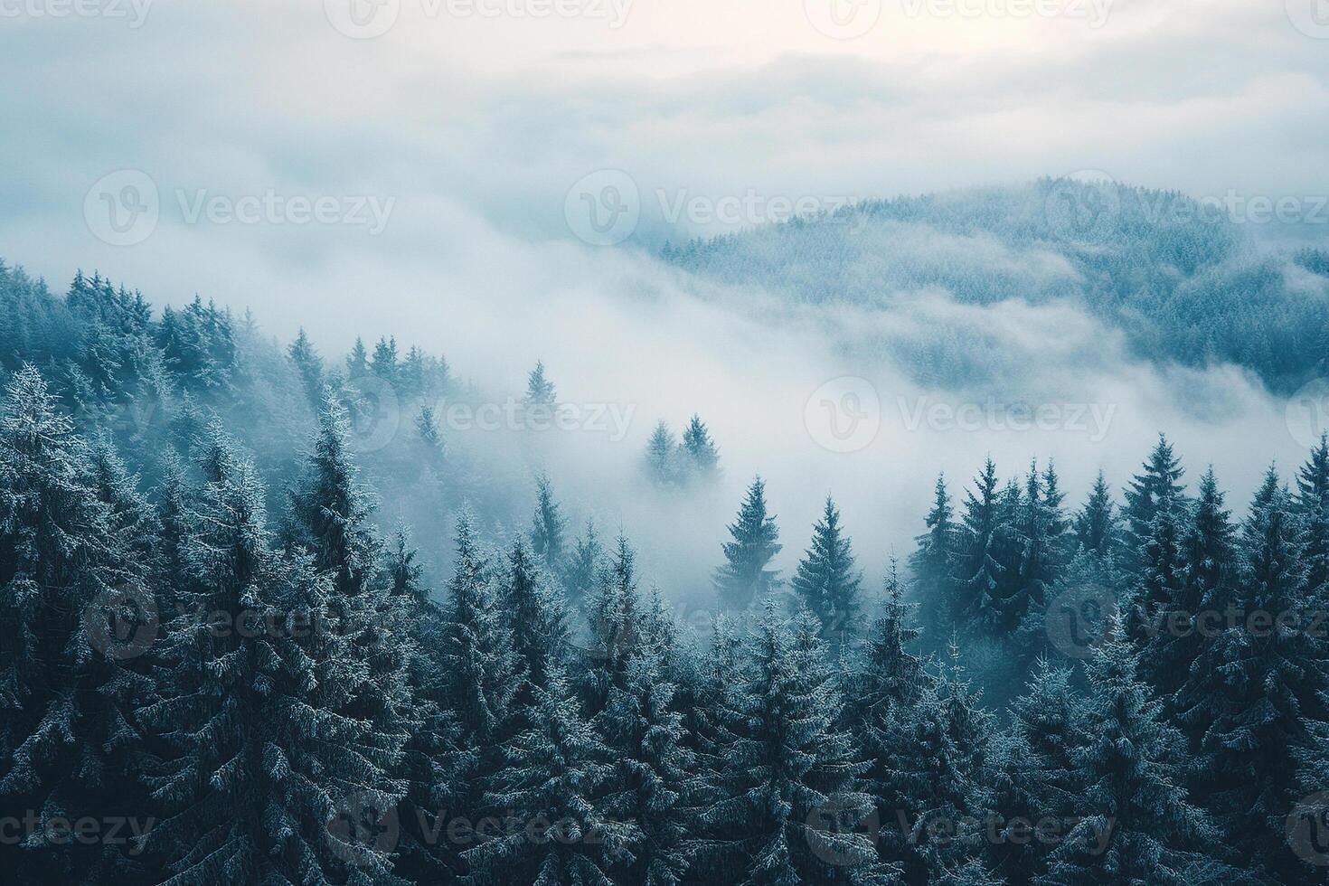 Panoramic shot of spruce forest on a foggy cold morning. Dense spruce forest view from above. Generated by artificial intelligence. photo