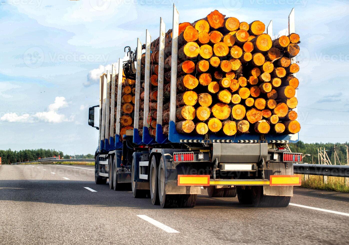 A semi-trailer truck transports logs from the forest to a wood products manufacturing plant. Production of lumber, plywood and board products. Copy space for text, industry photo