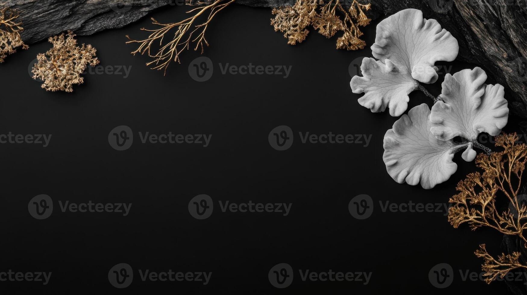 Xanthomendoza mendozae lichen in black and gold colors photo