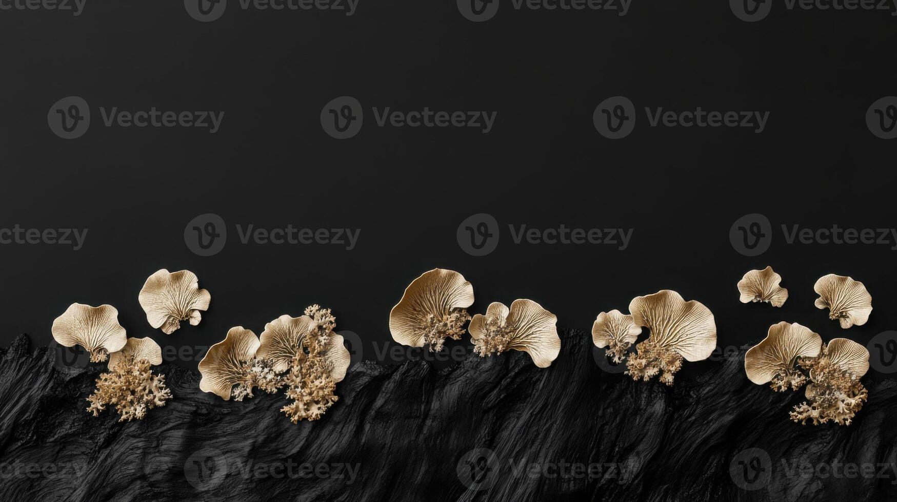 Light Gray Frosted lichen in black and gold colors photo