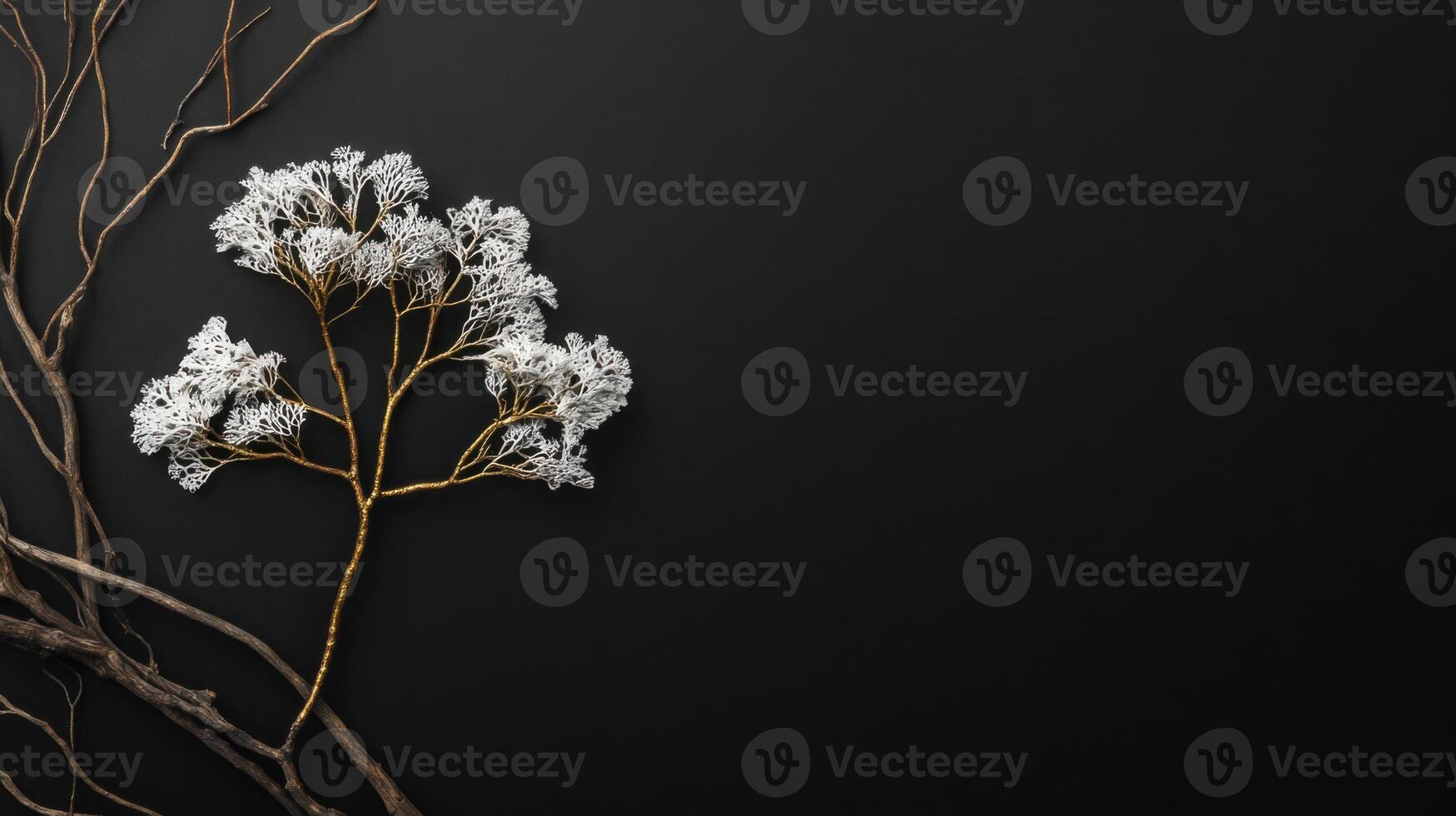 Ruffle lichen in black and gold colors on dark matte background, abstract botanical wallpaper photo