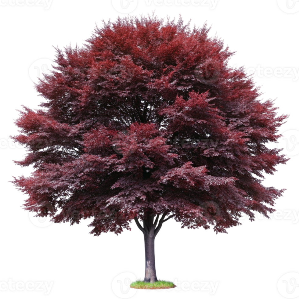 A red tree with a black background png