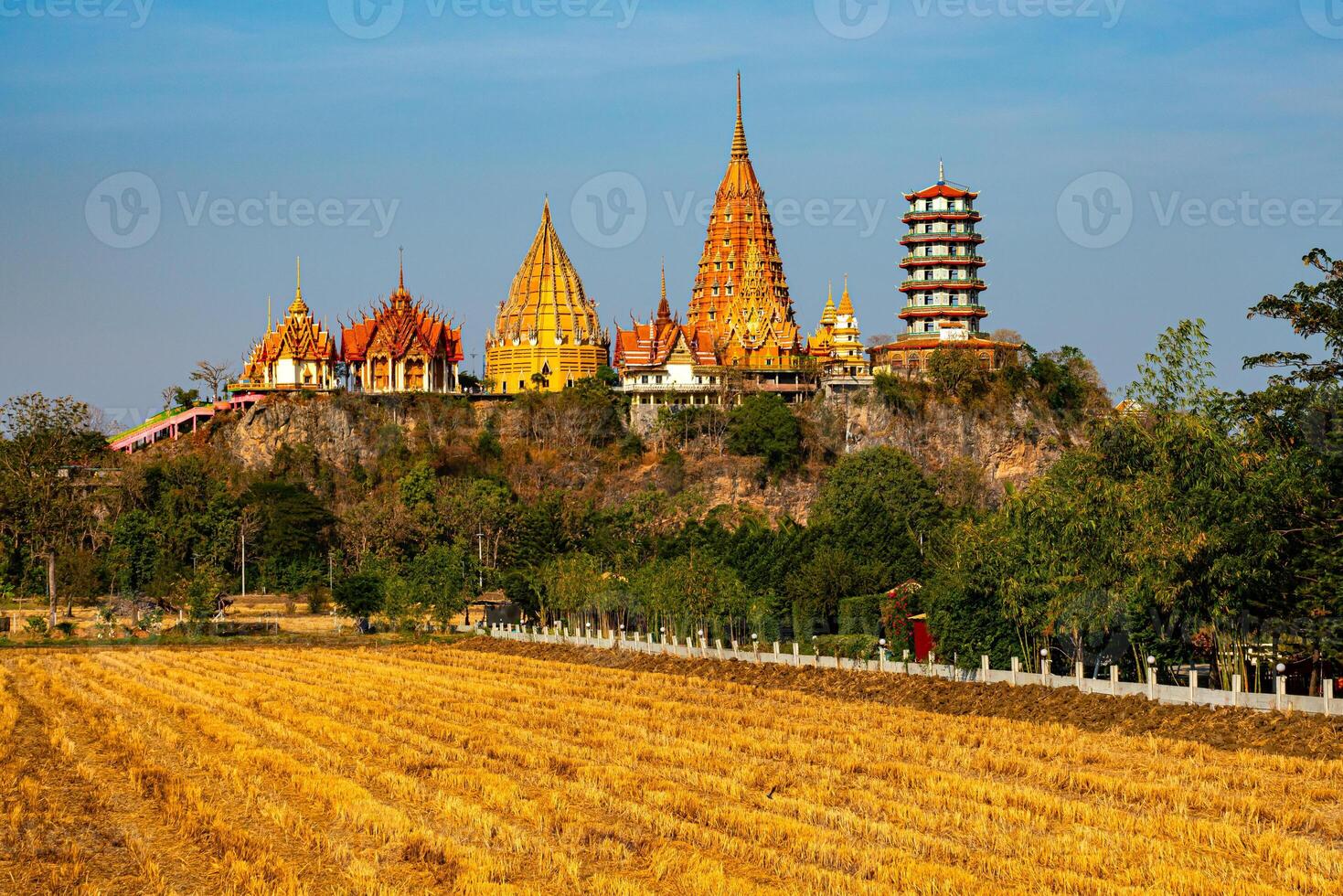 View of dry paddy field and Wat Tham Sua, the beautiful buddhist temple on top of the mountain. photo