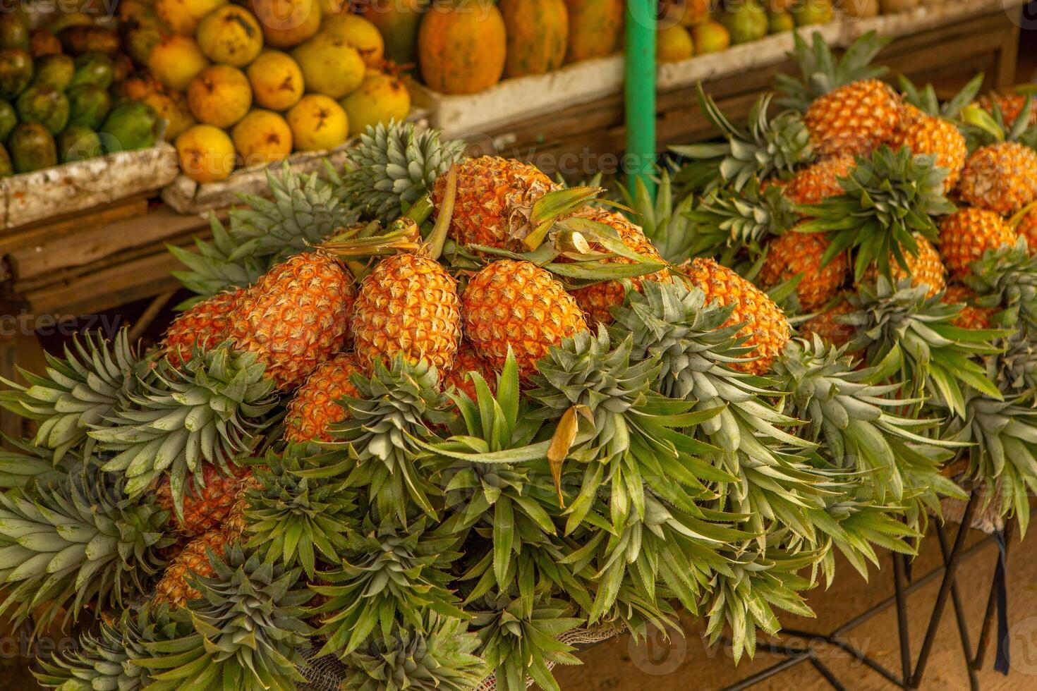 fresh seasonal fruits at the market in sri lanka, asia. photo