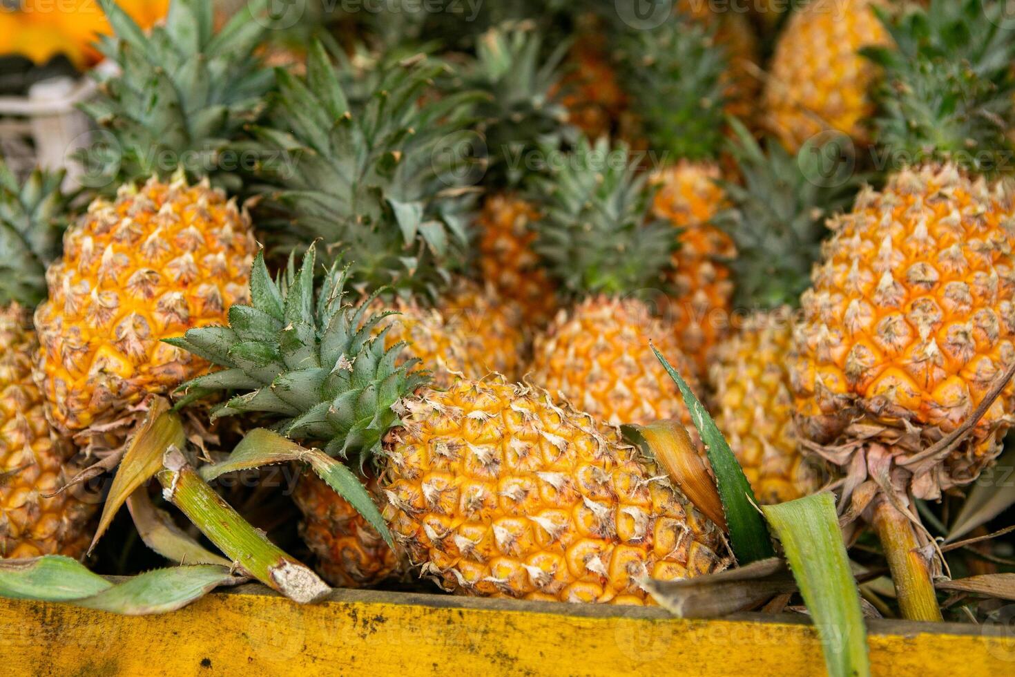 fresh pineapple at a local street market in sri lanka photo