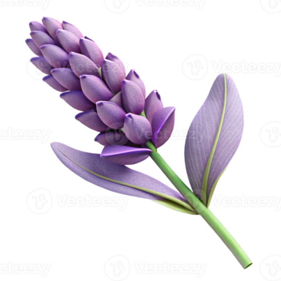 Lavender Flower Render Purple Floral Bloom, Botanical Illustration, Closeup View, Nature Image, Plant Stem, Vivid Color, Detailed Texture, Soft Petals, Elegant Design, Floral Art png