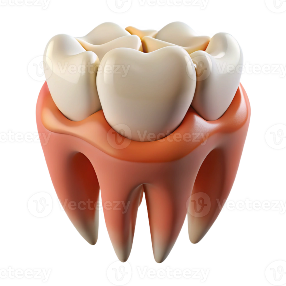3D image of a molar tooth with visible pink gum tissue png