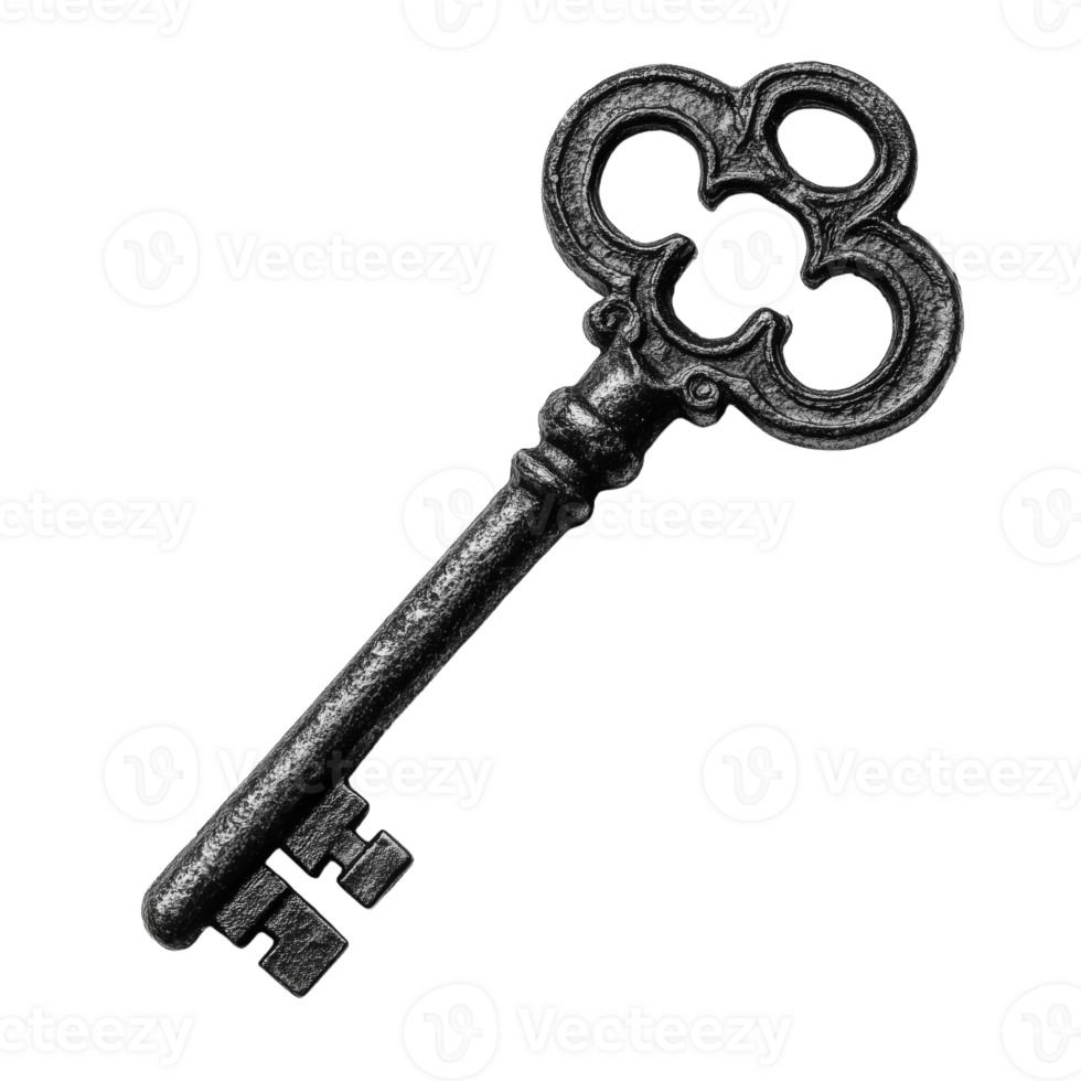 Exploring the Mystique of a Vintage Antique Key Design png