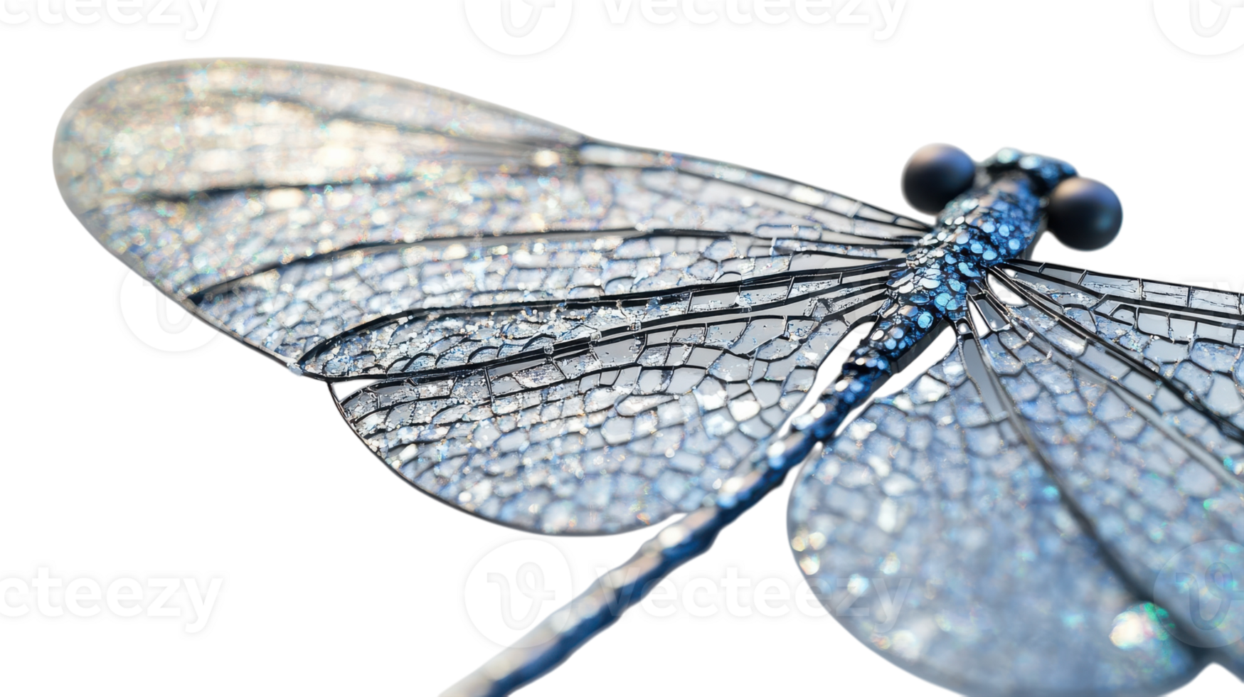Detailed close-up of a dragonfly's iridescent wings showcasing intricate patterns and textures in natural sunlight. png