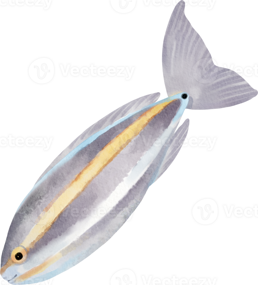 Hand-Painted Watercolor Illustration of a Fish png
