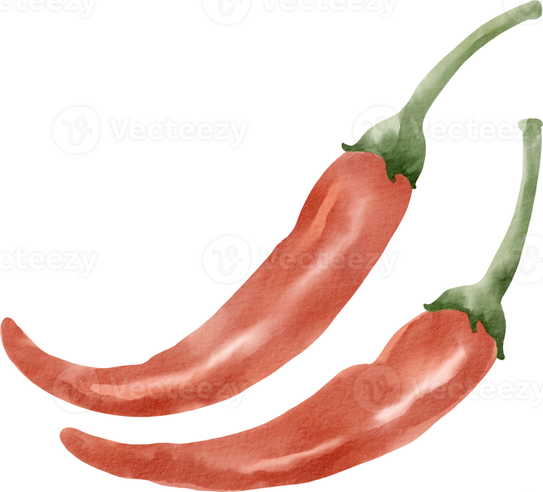 Two red chili peppers on a black background png