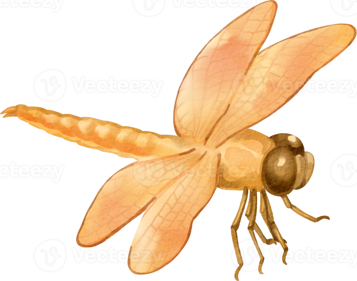 A cartoon dragonfly with orange wings png