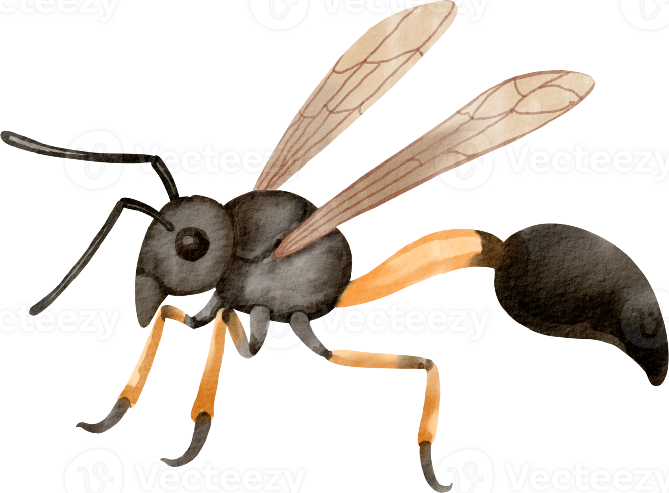 A watercolor drawing of a bee png