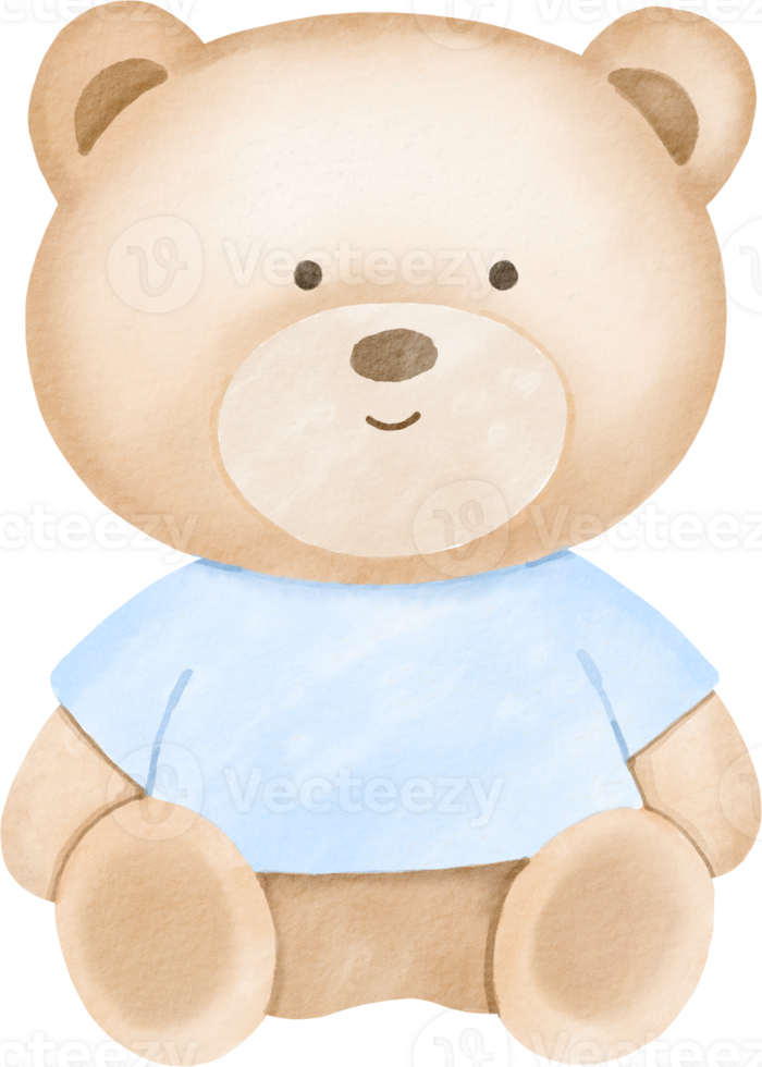 A teddy bear wearing a blue shirt png