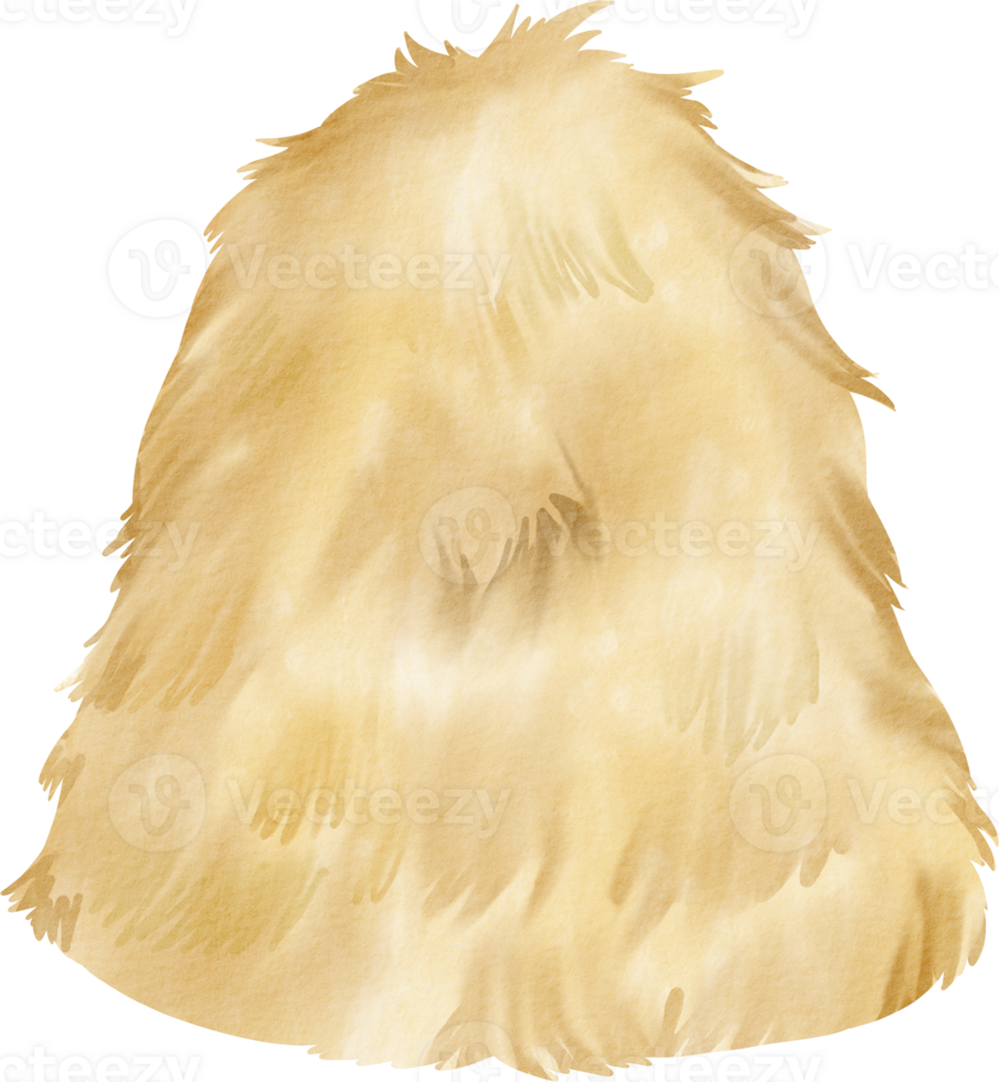 A brown hat with a fluffy fur png
