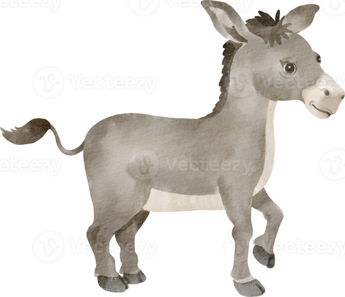 A donkey is standing in front of a black background png