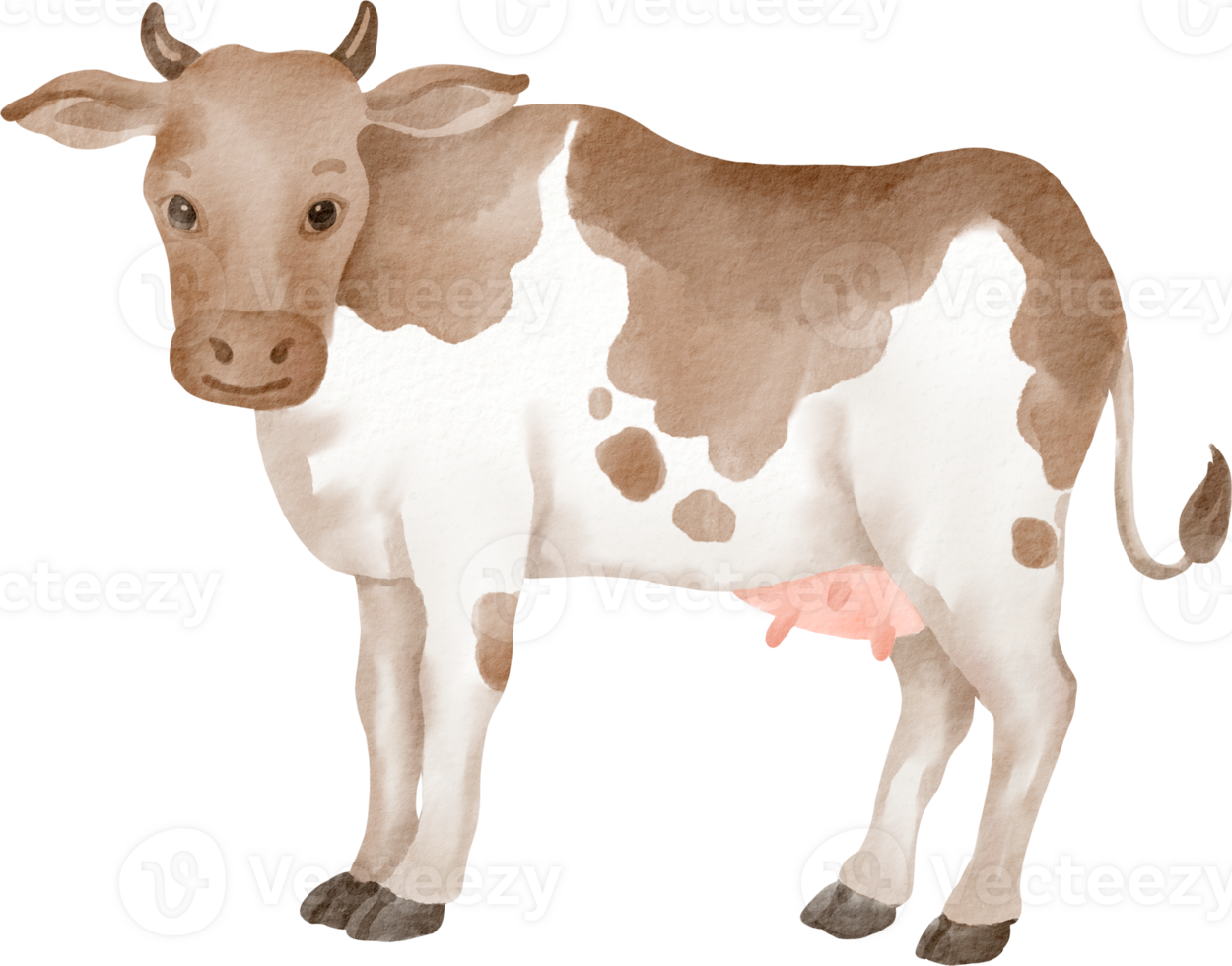 A cow is standing in front of a black background png