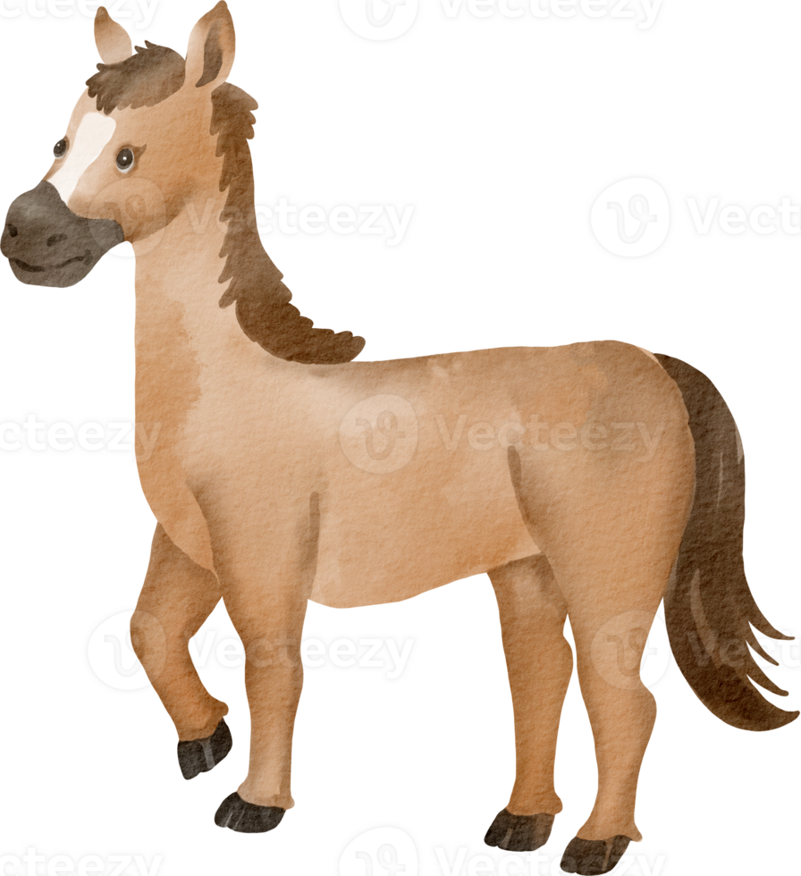 A horse is standing in a watercolor painting png