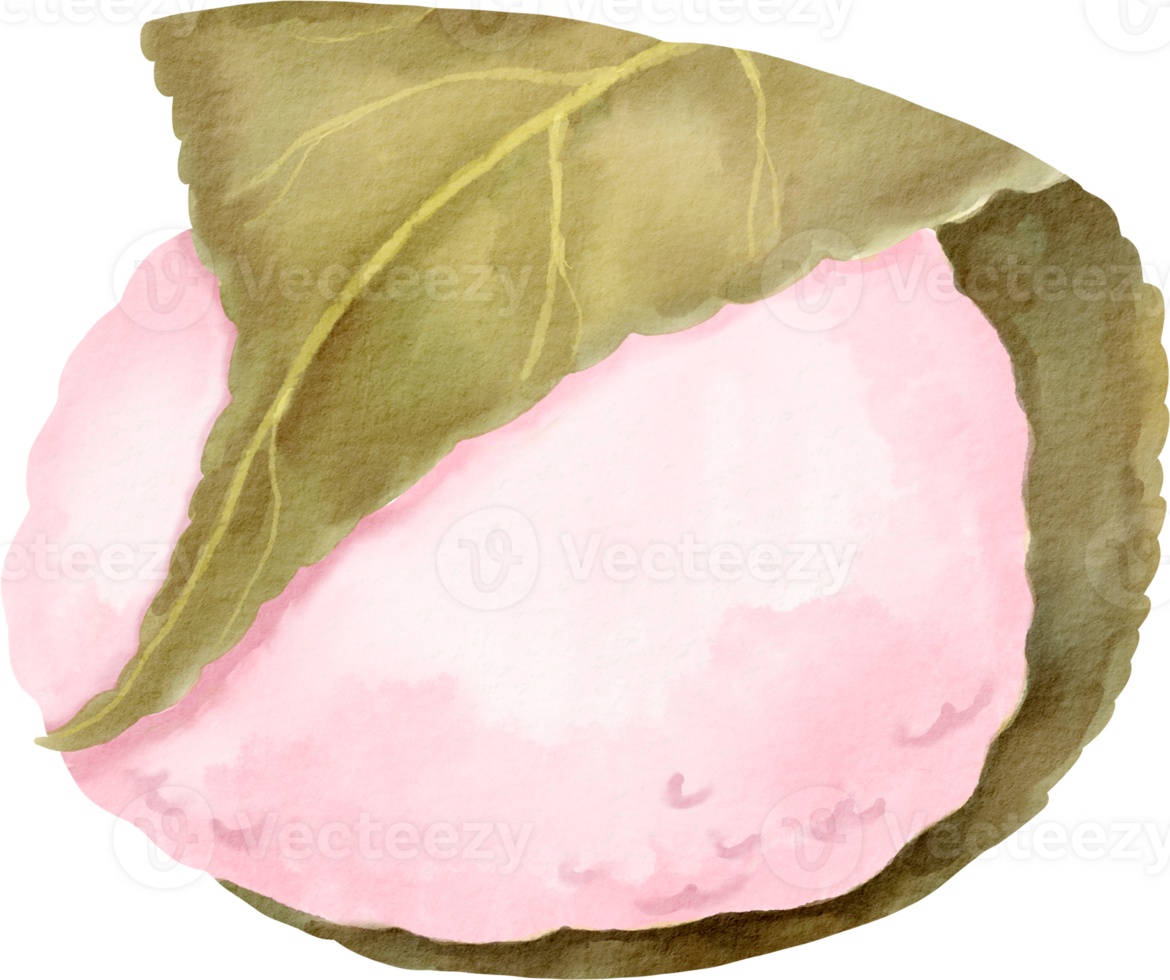 A watercolor drawing of a pink ball with a leaf png