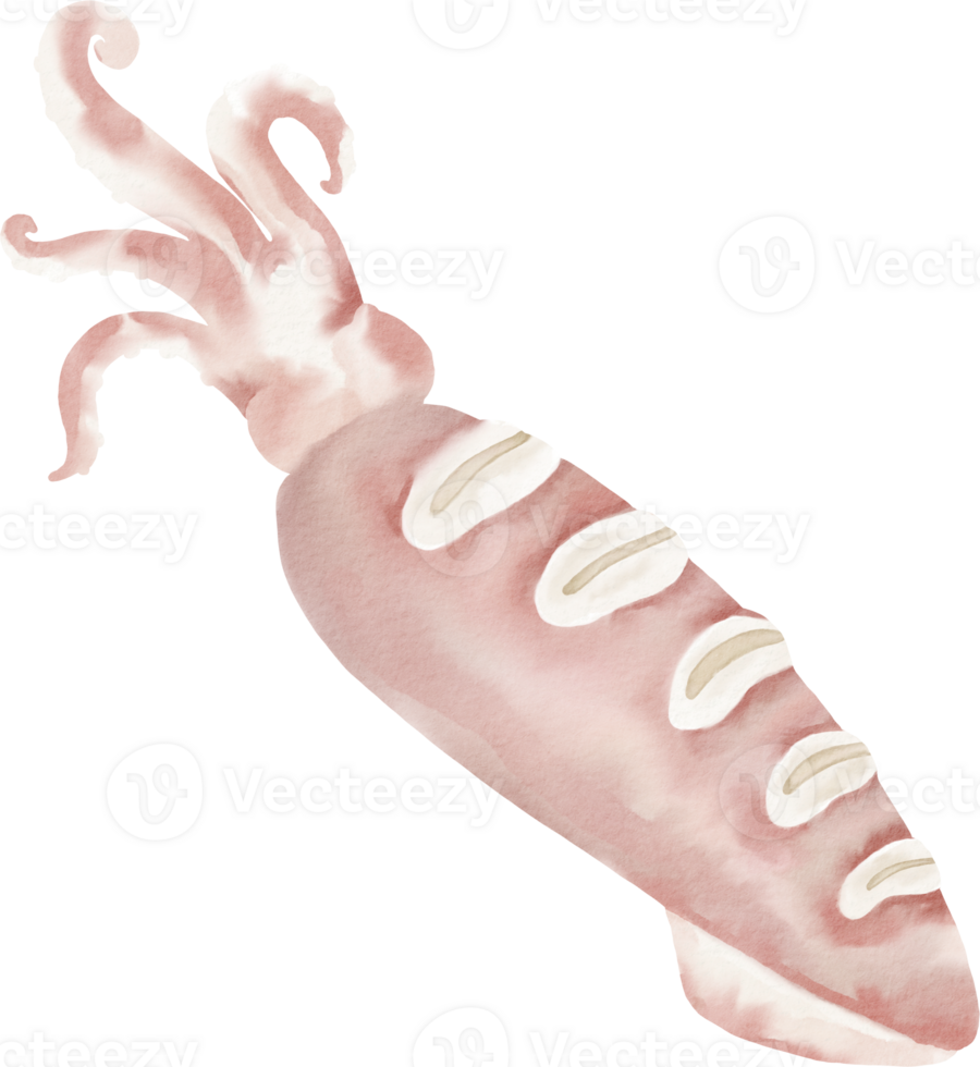 A pink squid with tentacles on it png