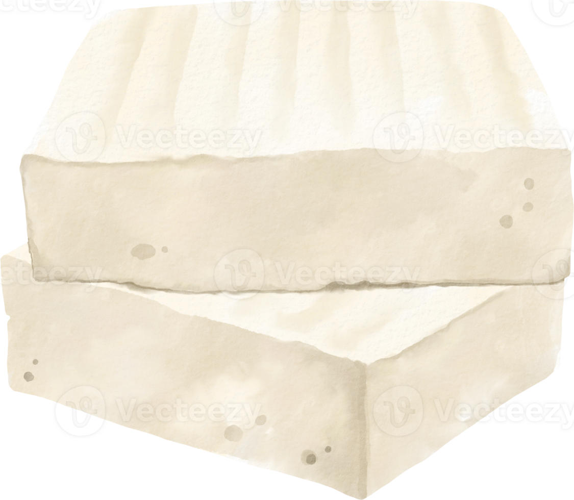 Two blocks of cheese are shown on a white background png