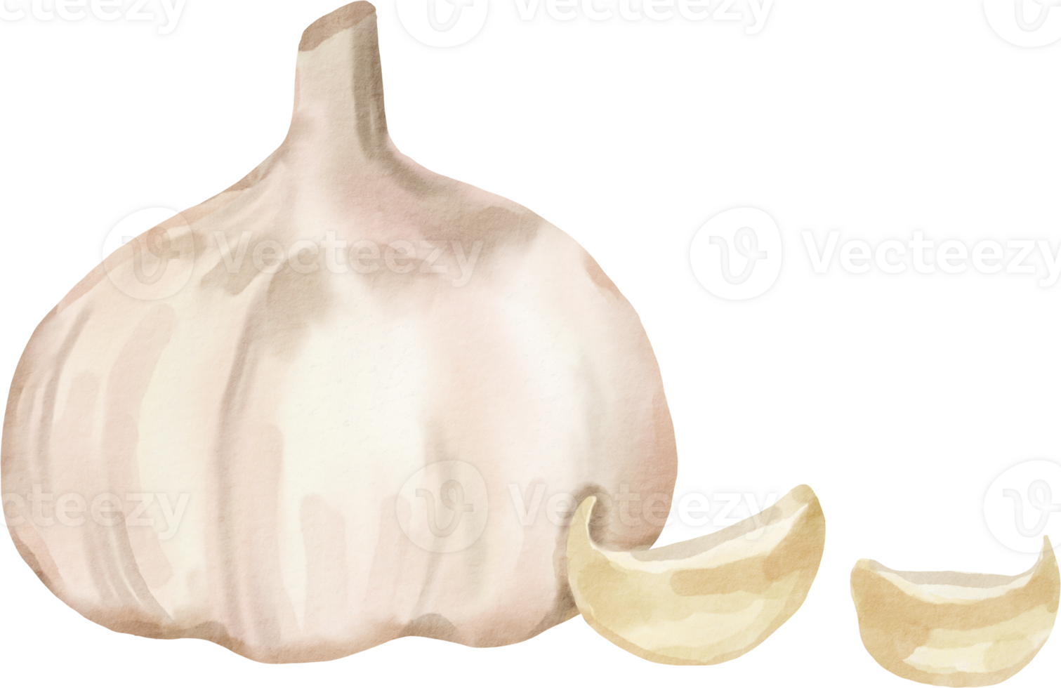 A garlic bulb and a half peeled garlic bulb png