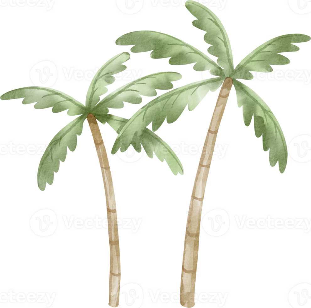 Two palm trees are shown on a black background png