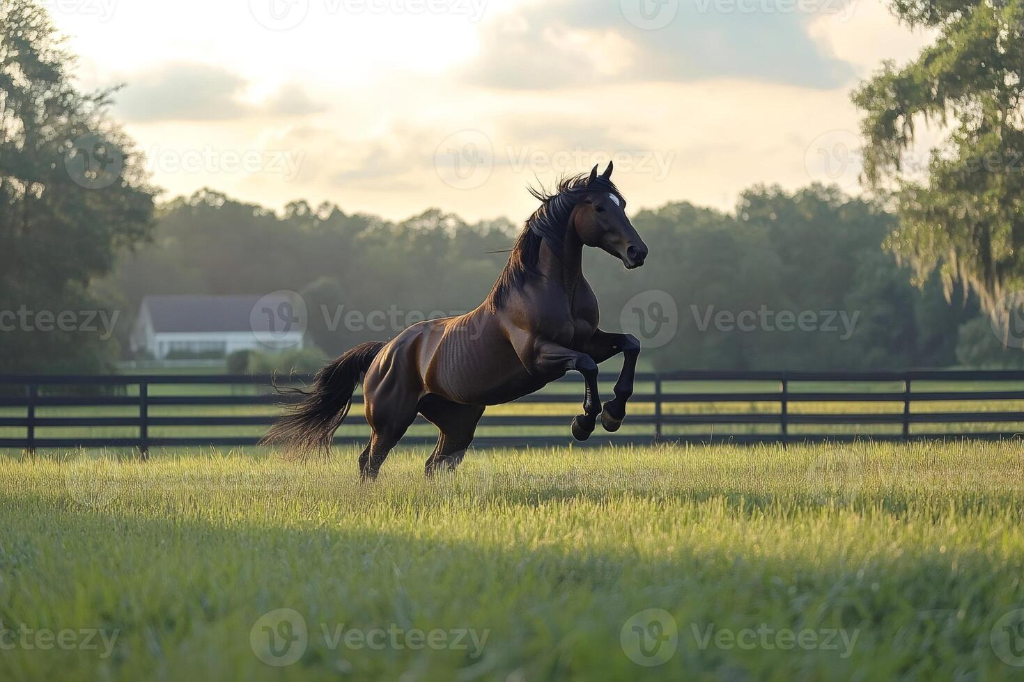 Horse rearing up in a green field at golden hour in a farm photo